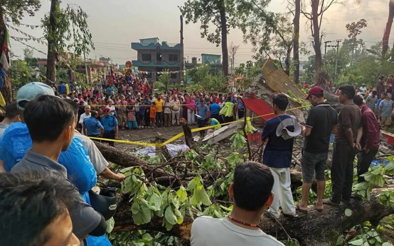 Two Killed, Three Seriously Injured After Being Crushed by a Tree in Nawalparasi