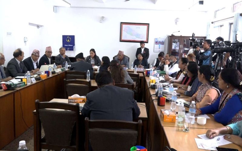Five Parliamentary Committees to Convene Meetings Today