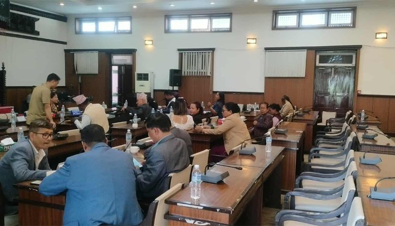 Parliamentary Committee Passes Land Bill by Majority