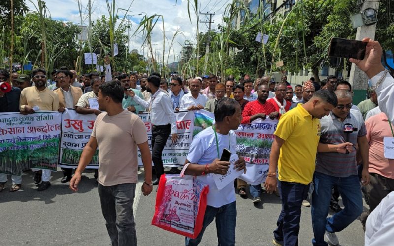Sugarcane Farmers Begin Indefinite Sit-in in Kathmandu Against Subsidy Cut