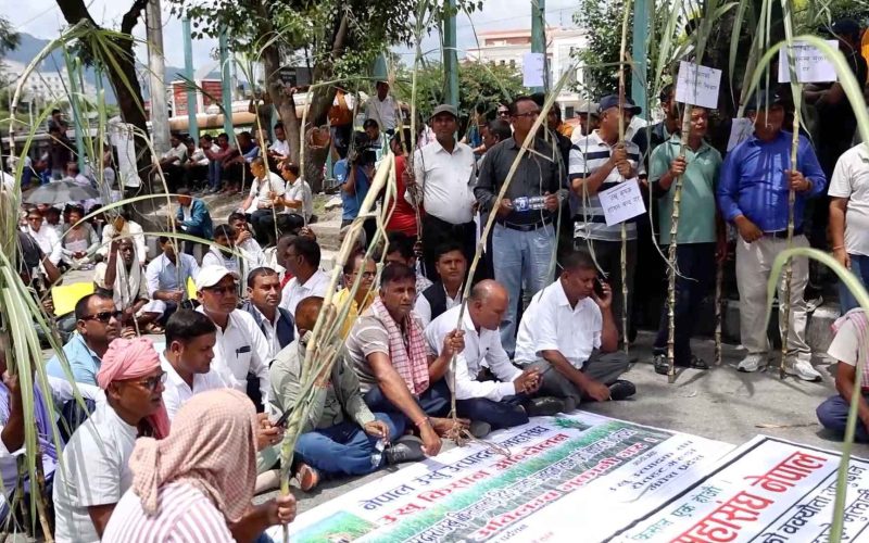 Sugarcane Farmers Continue Agitation as Government Reduces Subsidy to Rs. 35 per Quintal