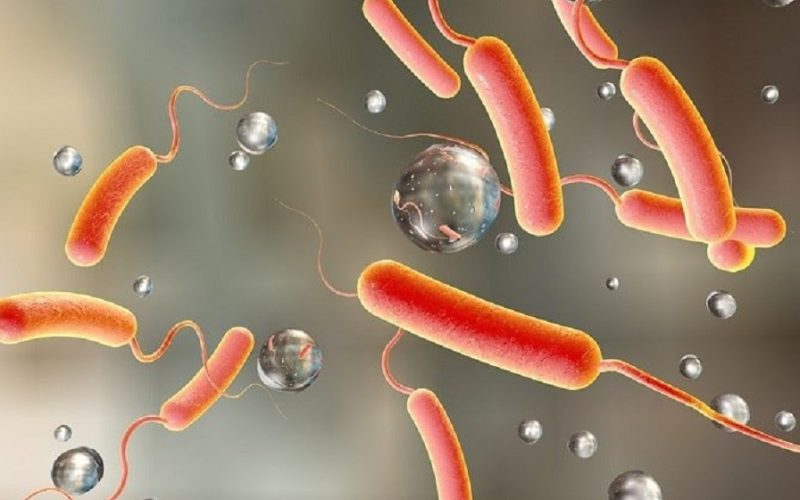 Two Patients Die from Diarrhea Symptoms in Parsa