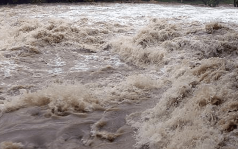 Shepherd Dies While Saving Sheep from River in Gorkha