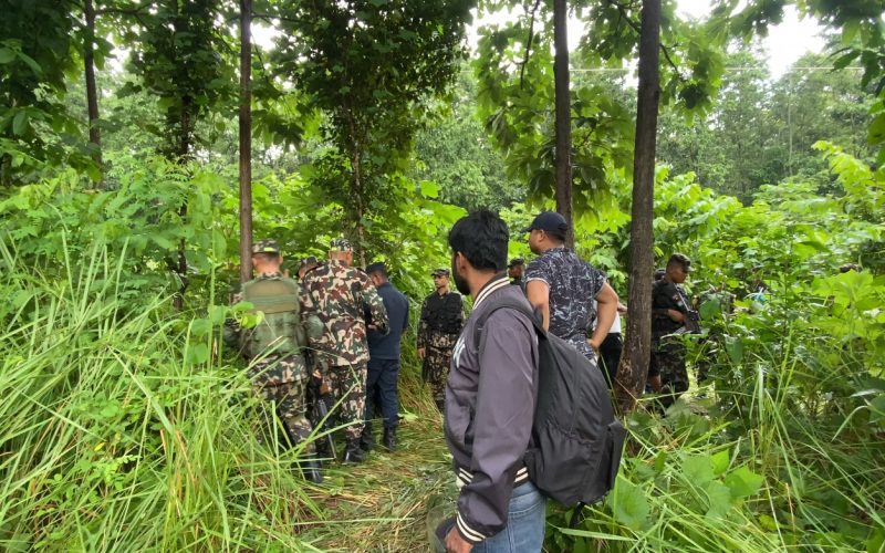 Man Killed in Tiger Attack in Bara