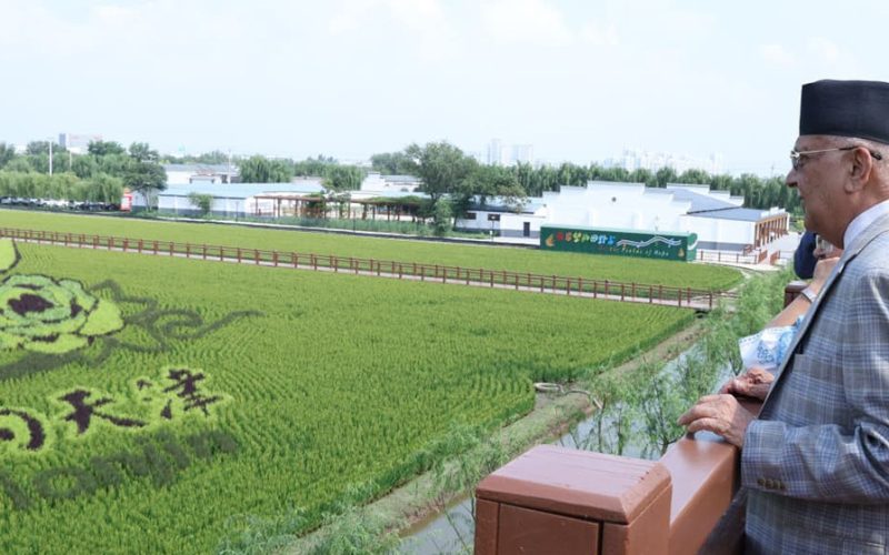 PM Oli Visits Rice Production Special Zone in China
