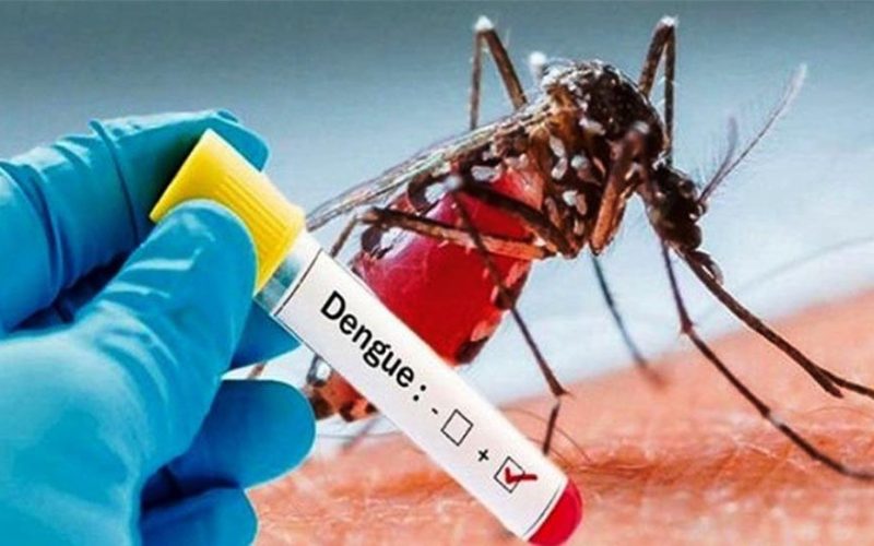 4,487 Dengue Cases Confirmed Across 74 Districts; Two Deaths Reported