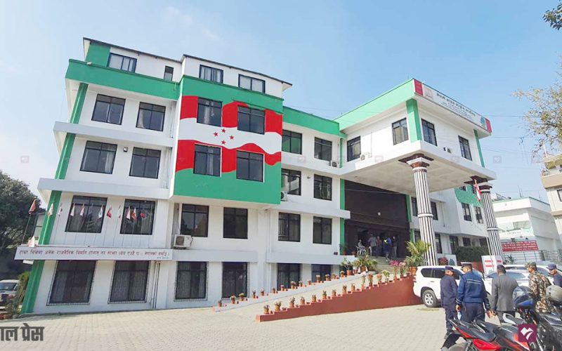 Nepali Congress Calls for Unity and Active Role in Restoring Democratic Process