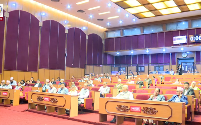 Federal Civil Service Bill Passed by National Assembly with Amendments