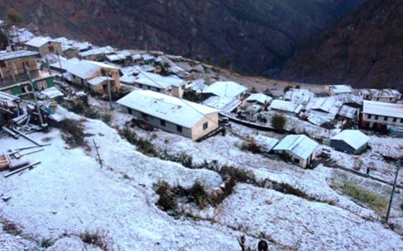 12 Mountain Goats Killed by Flood in Mustang’s Tethang Village