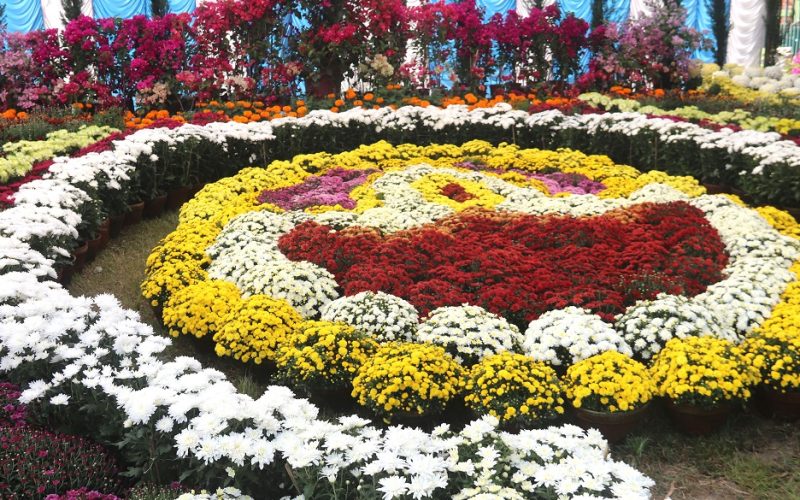 18th Godawari Flower Exhibition Begins in Lalitpur