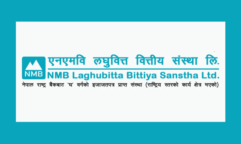 NMB Laghubitta CEO Anand Pandey Resignation Accepted