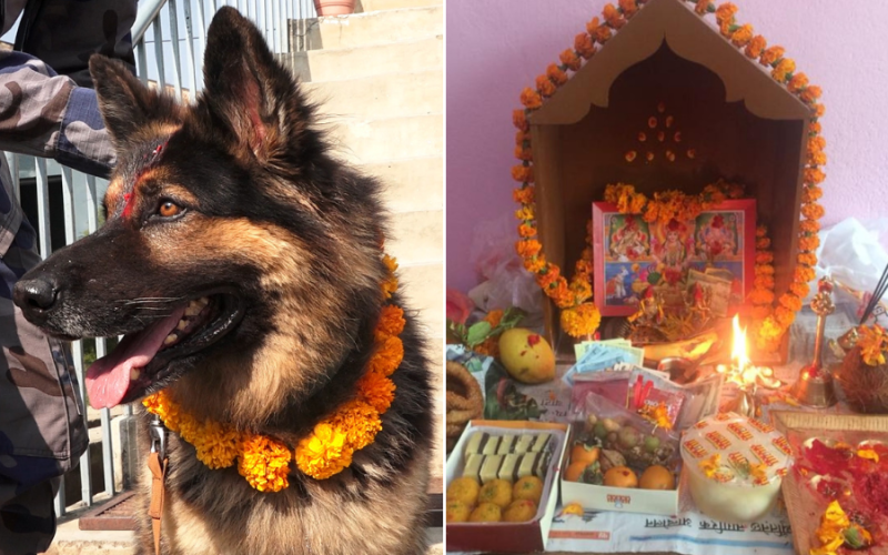Kukur Tihar and Laxmi Puja Being Celebrated Today