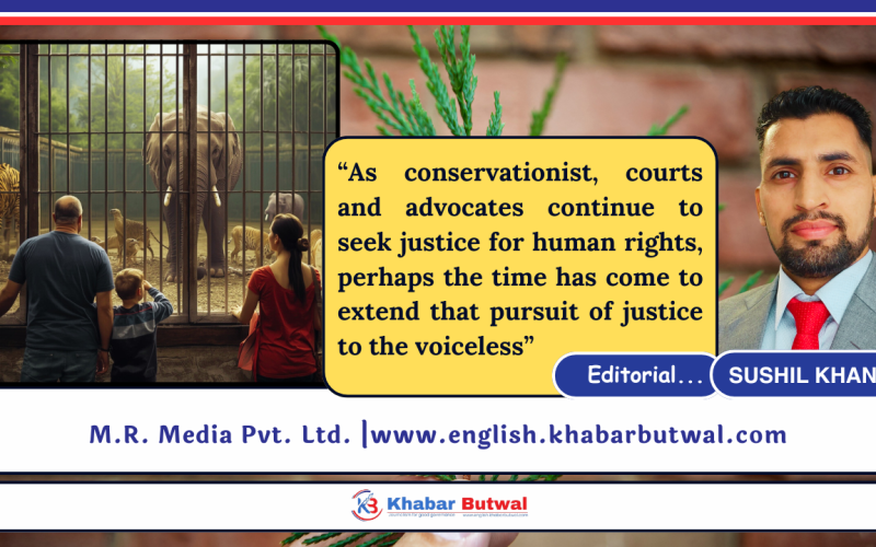 The Moral Cost of imprisonment: Rethinking the Role of Zoos : Sushil Khanal
