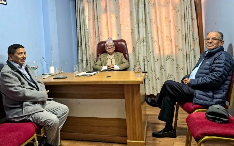 Prachanda and Madhav Nepal Hold Discussion on Party Unity at Aloknagar