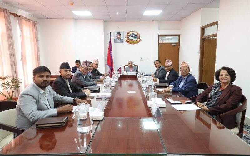 Government Declares 45 Gen Z Protest Victims as Martyrs