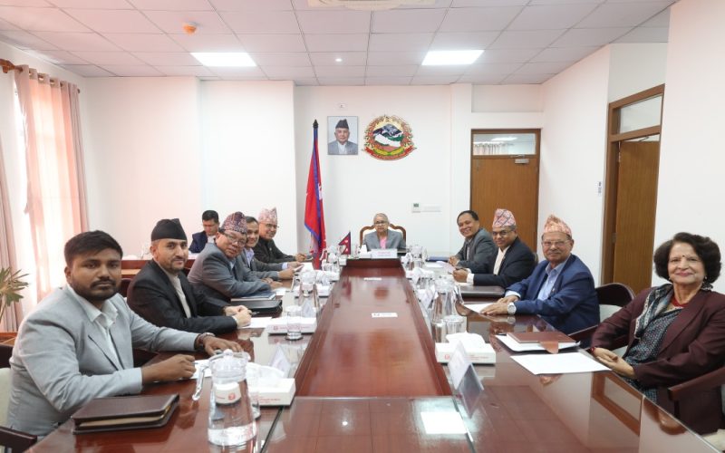 Government Declares 45 Gen-Z Protesters as Martyrs; Cabinet Decisions of Kartik 17 Made Public